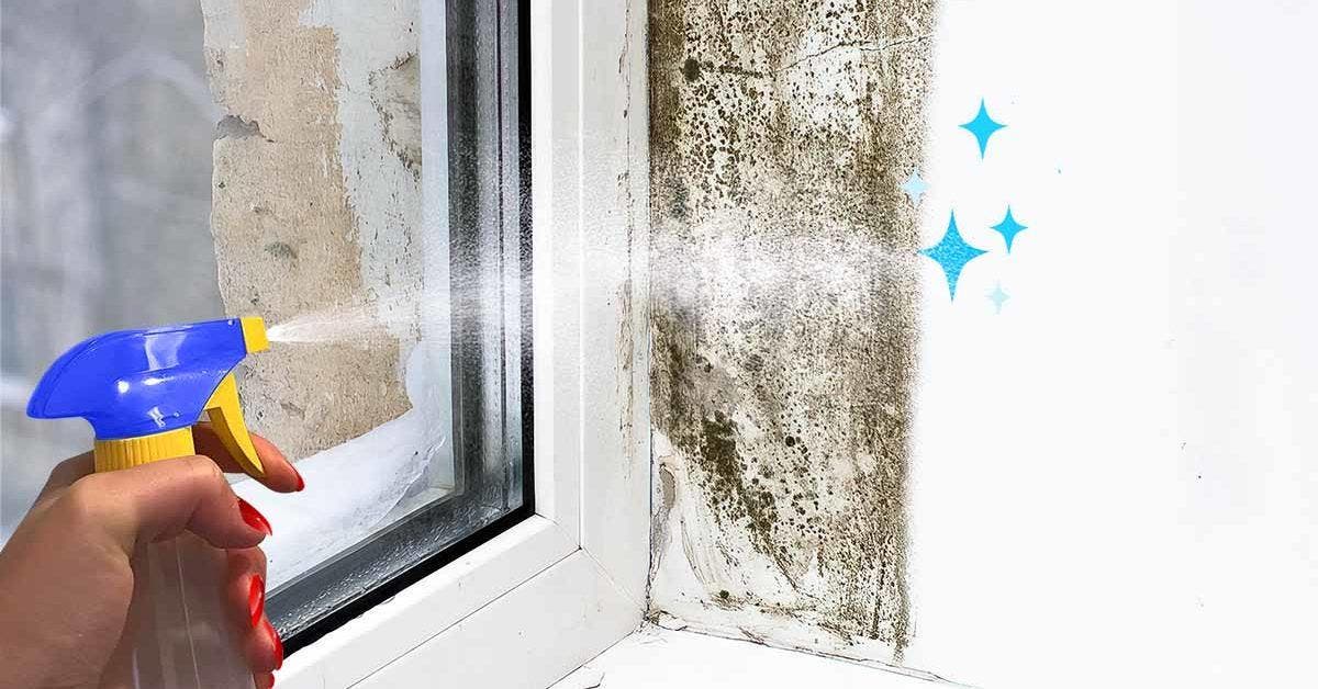 Vaporisez votre rebord de fenêtre avec un mélange à 1 euro. La moisissure disparaîtra pour de bon sans avoir à frotter final