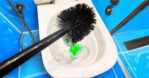 Versez ce produit sur votre brosse de toilettes et laissez-le agir pendant 5 minutes. Elle sera comme neuve_