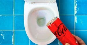 Versez du coca dans les toilettes001