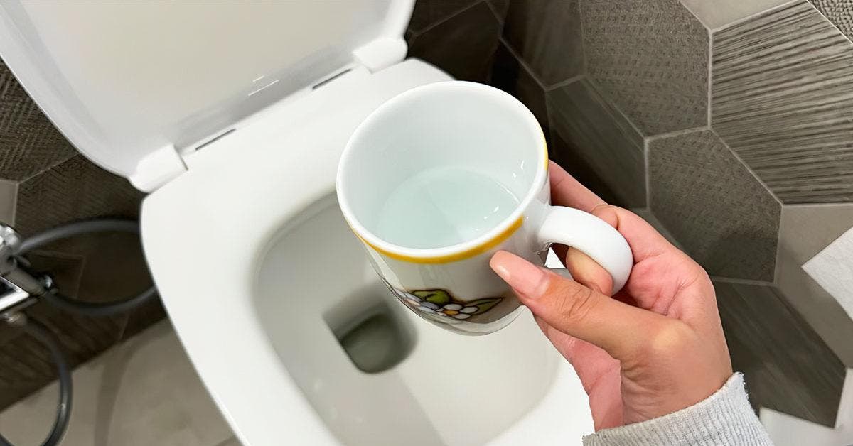 Versez une demi-tasse pour éliminer les mauvaises odeurs et parfumer les toilettes