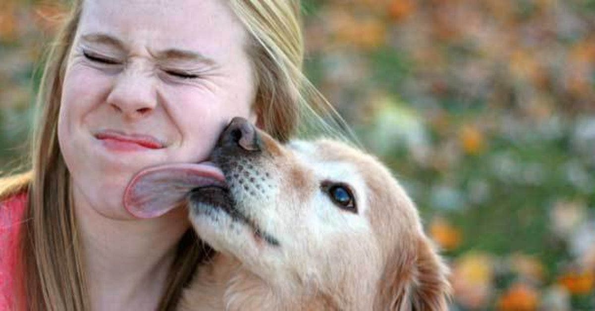 Voici ce qui arrive quand votre chien vous leche le visage La verite va vous choquer 1