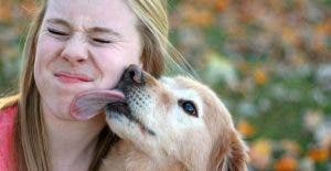 Voici ce qui arrive quand votre chien vous leche le visage La verite va vous choquer 1