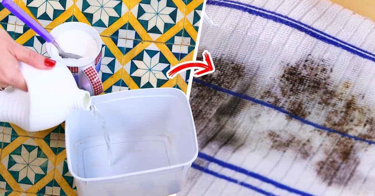 10 astuces pour enlever les taches de moisissure sur un tissu