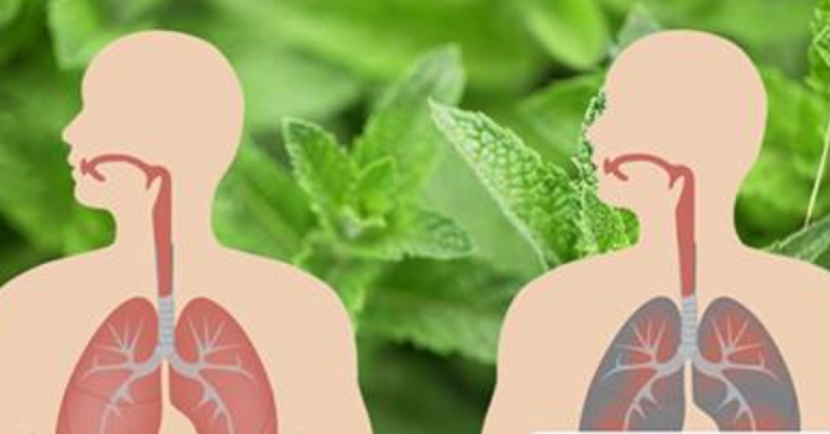 Voici comment éliminer le mucus et tuer les infections pulmonaires naturellement