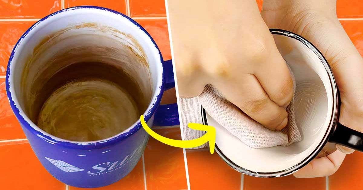 Voici comment éliminer les taches de thé et de café des tasses pour les rendre comme neuves