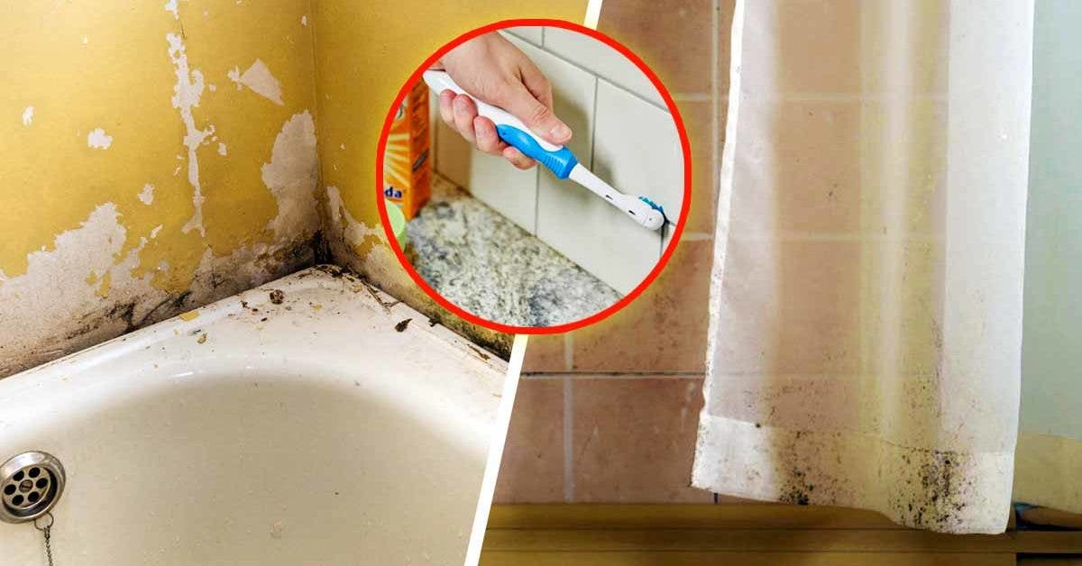 Comment se débarrasser de la moisissure dans la salle de bain ?