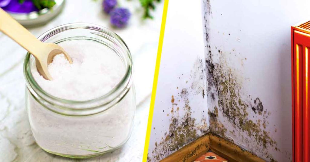 4 astuces pour se débarrasser des moisissures autour des fenêtres