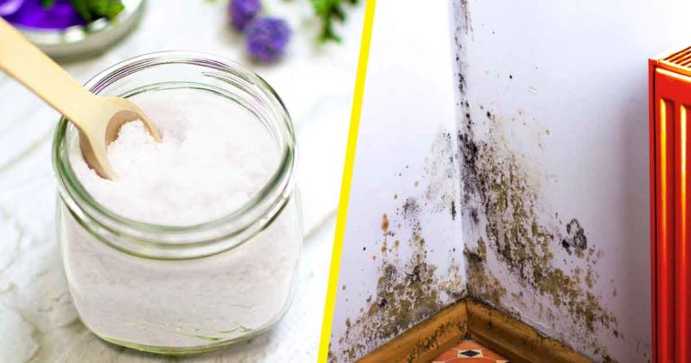 Voici comment fabriquer un absorbeur d'humidité facilement pour éviter