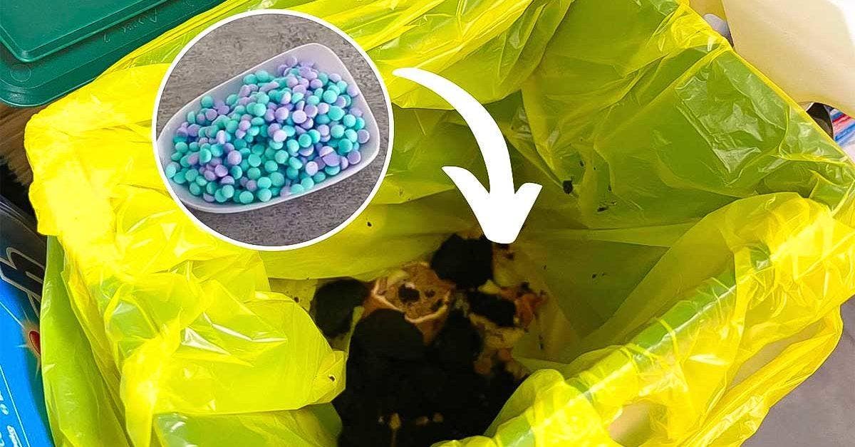 How to make an air freshener to neutralize garbage odors? Archyde