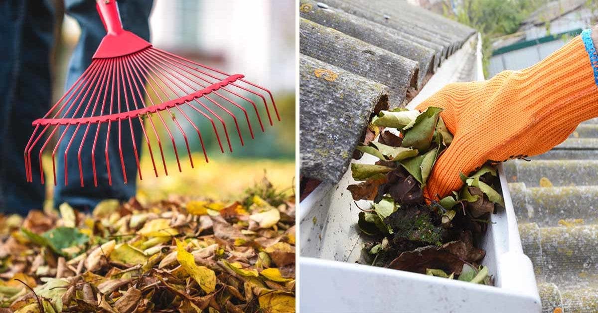 Voici comment préparer votre maison et votre jardin pour les mois les plus froids