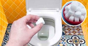 Voici comment utiliser le bicarbonate de soude pour nettoyer les toilettes les plus sales et les parfumer2