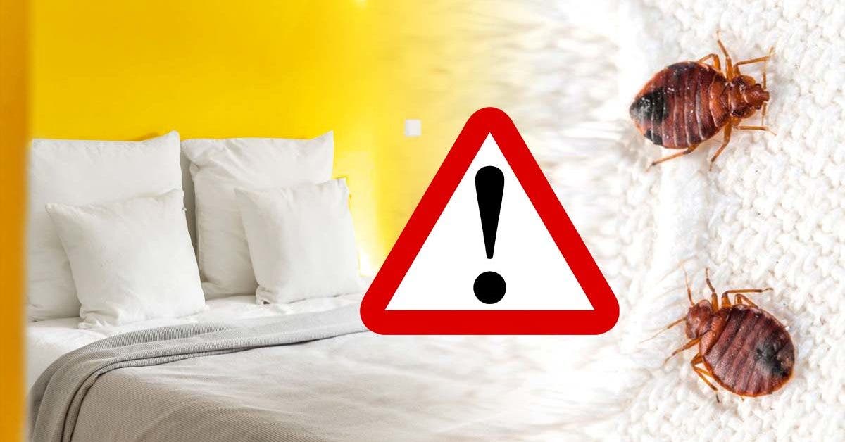 Voici le moyen le plus simple pour savoir si votre chambre d'hôtel est infesté de punaises de lit001