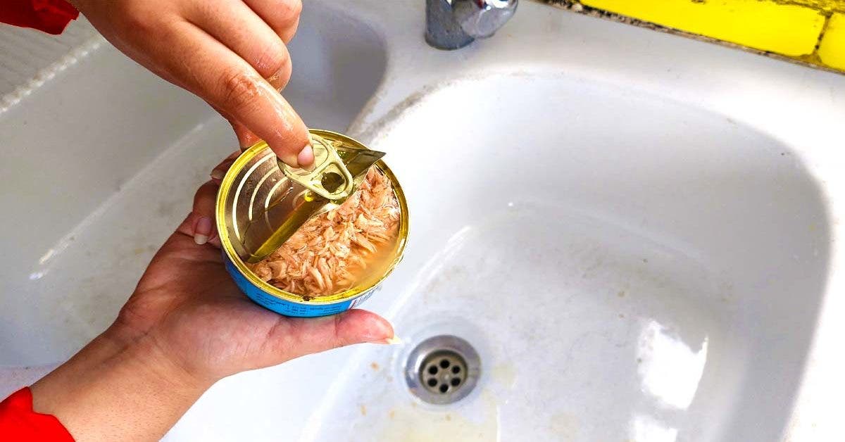 Voici pourquoi il est important de ne plus jeter l’huile des boites de thon dans l’évier001