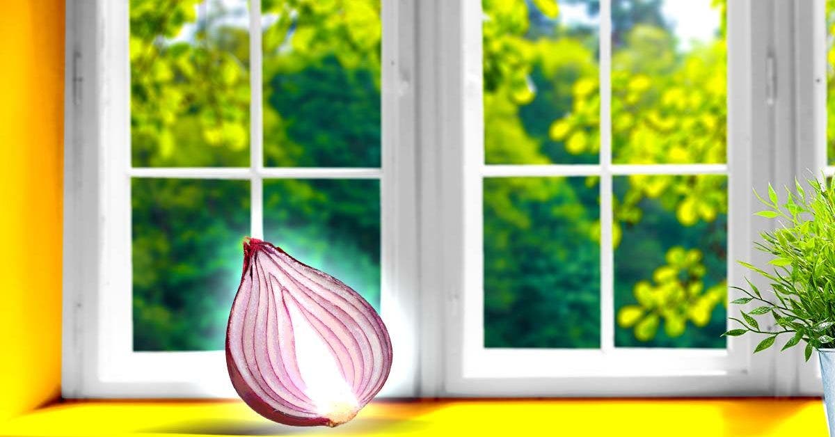 Voici pourquoi il est indispensable de placer une tranche d’oignon devant la fenêtre en Mai001