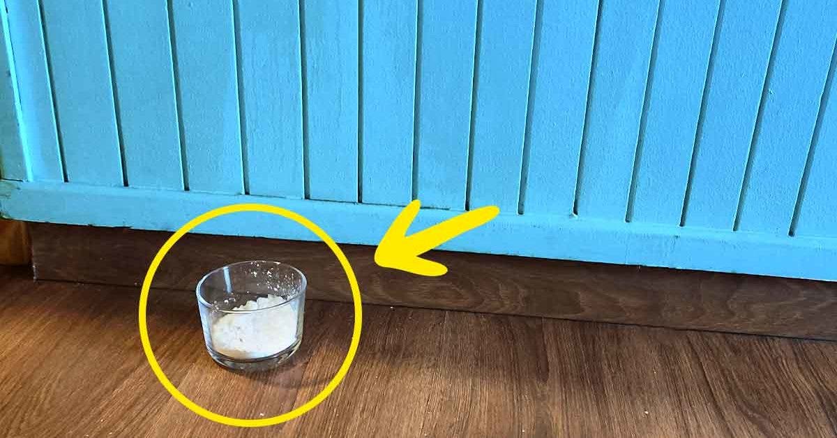 Voici pourquoi il faut laisser un verre de sel dans votre appartement pendant une journée