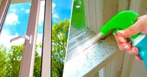 Voici pourquoi il faut pulvériser du vinaigre autour des cadres des fenêtres au début du printemps02
