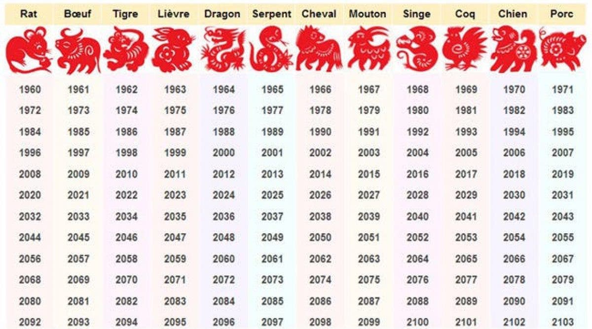 30 лет 2020 какой год. Следующий год по китайскому гороскопу. Символ следующего года. Какой следующий год. Какой будет следующий год кого.