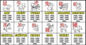 Voici votre plus grande qualité d’après votre signe du zodiaque chinois
