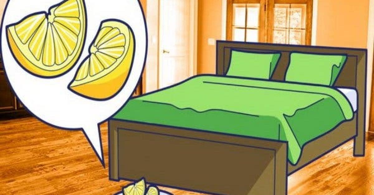 Voilà pourquoi vous devez mettre chaque soir deux tranches de citron à côté de votre lit