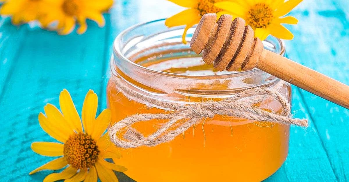 Votre miel a durci ? L’astuce géniale pour le rendre liquide facilement