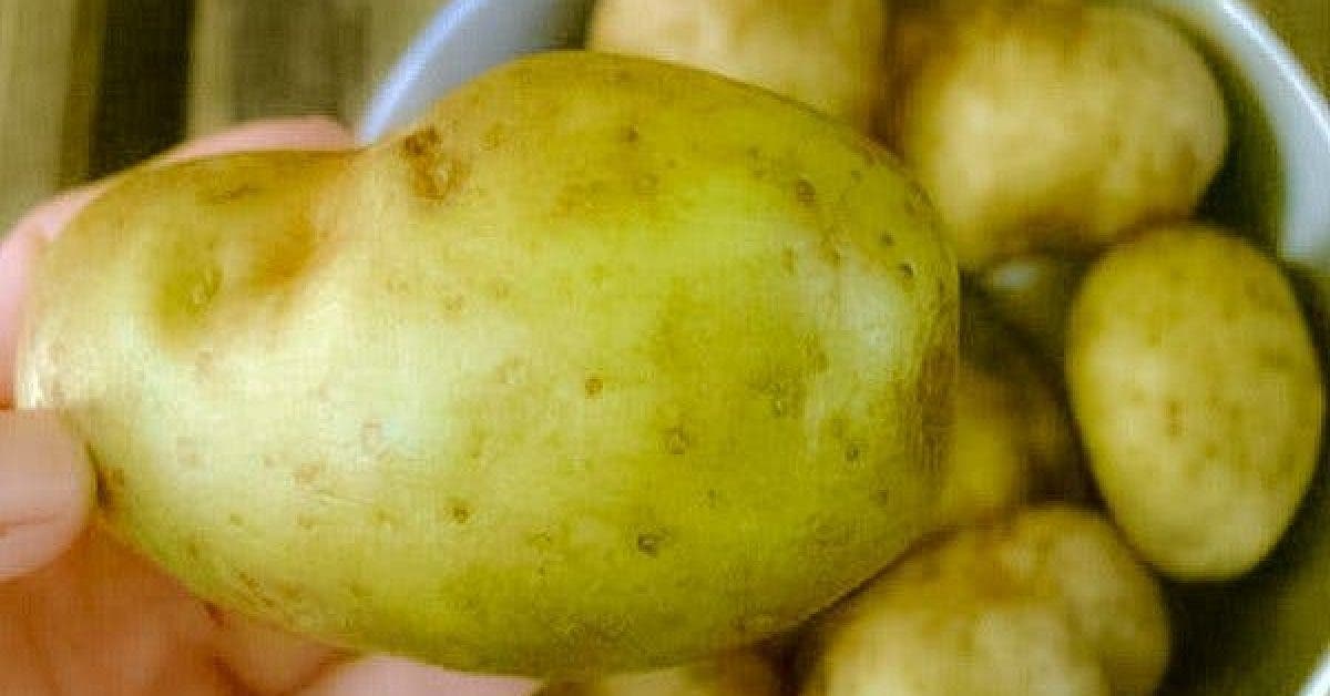 WARNING If You Notice THIS On Your Potatoes Throw Them Out Immediately. It Could Save Your Life… 1 1