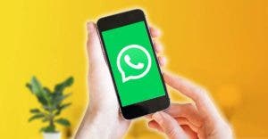 WhatsApp pourrait sortir une version payante pour certains utilisateurs