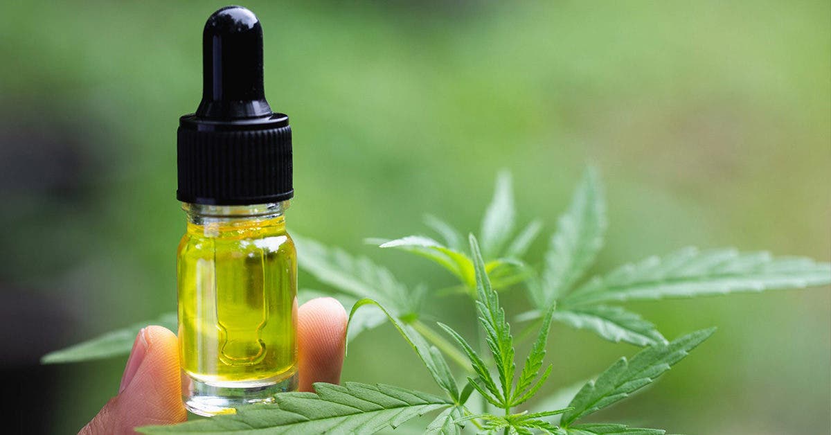 CBD, PEA : ce qu’il faut savoir sur ces anti douleurs