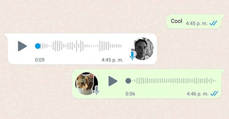 audio whatsapp
