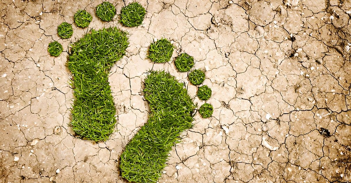 Bilan carbone : tout comprendre pour mieux agir
