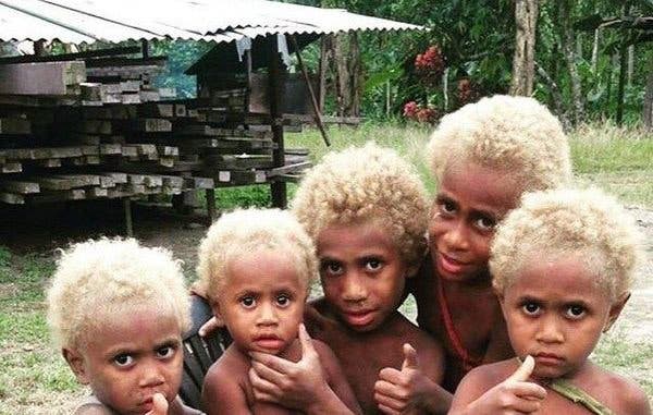 blonds mélanesiens
