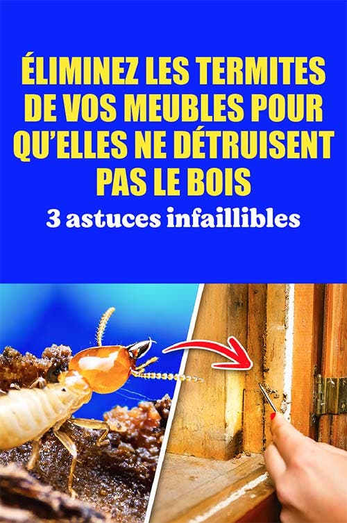 Éliminez les termites de vos meubles pour qu’elles ne détruisent pas le bois : 3 astuces infaillibles