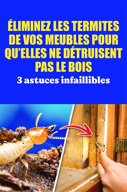 3 astuces pour éliminer les termites de vos meubles en bois