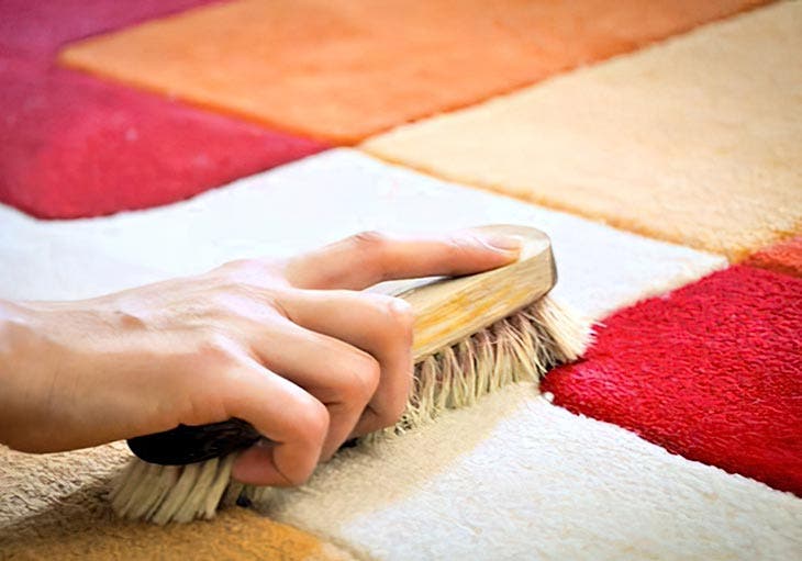 cepillar la alfombra