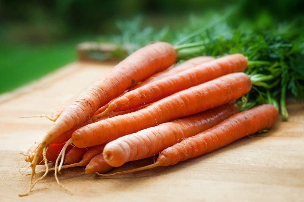 carrottes