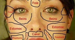carte du visage chinoise quand les problemes de peau revelent letat des organes vitaux du corps 1