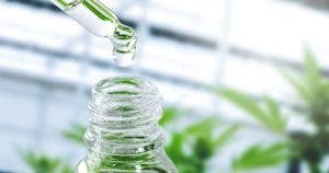 CBD : comment les professionnels structurent une offre fiable dans un marché en mutation