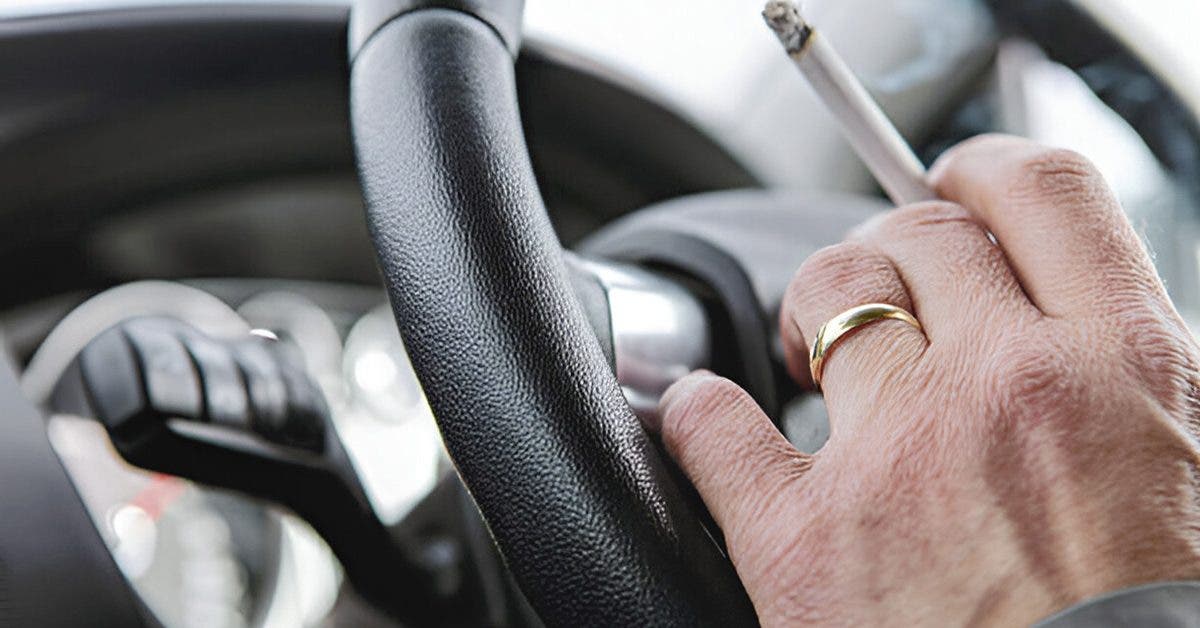 CBD et conduite : peut-on vraiment rouler sans risque ?