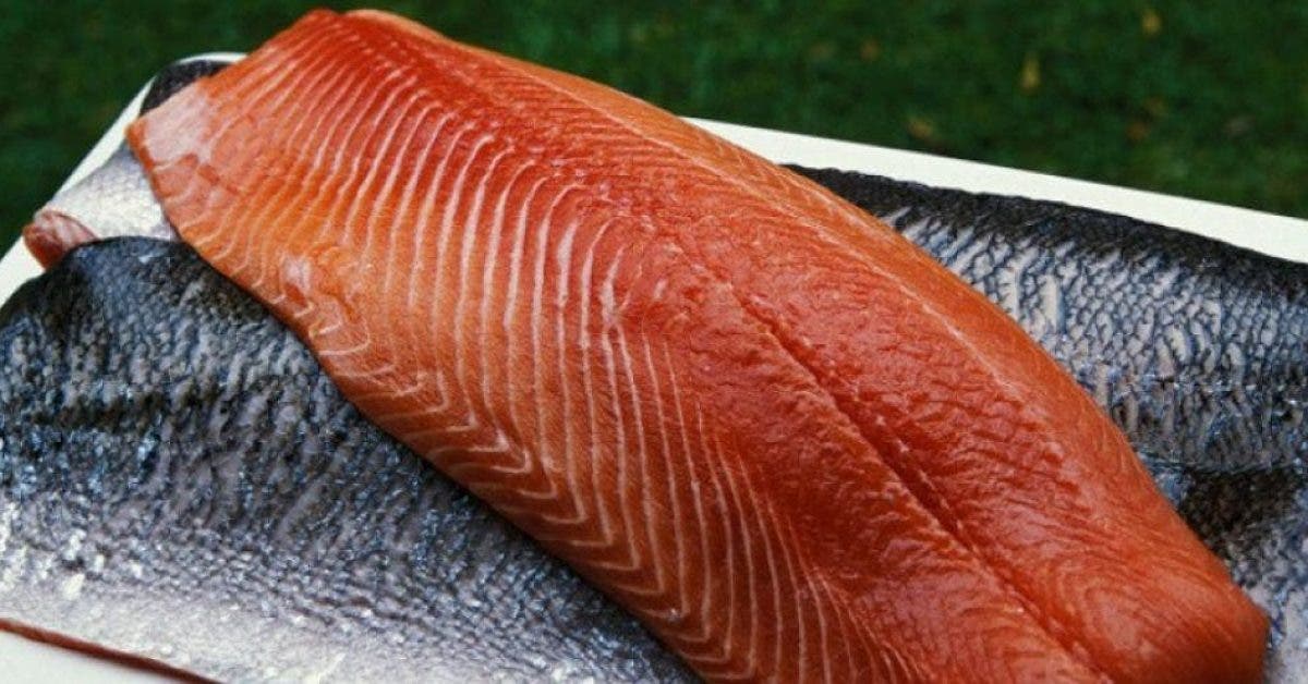 ce-poisson-populaire-est-lun-des-aliments-les-plus-toxiques-au-monde-voila-pourquoi-vous-ne-devriez-plus-le-manger