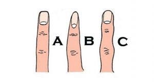 ce que la forme de vos doigts revele sur vous 2 1