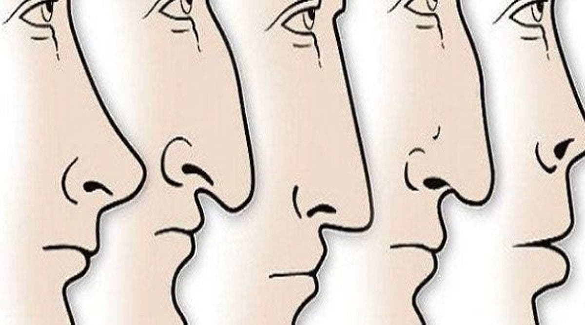 Ce que la forme de votre nez révèle sur votre personnalité