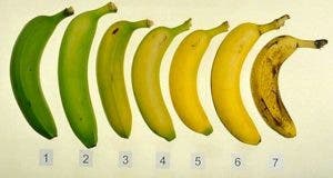 ce qui arrive a votre corps lorsque vous mangez des bananes mures 1