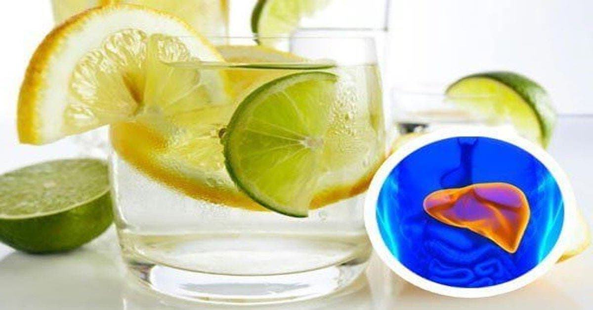 Ce qu’un verre de citron par jour peut faire à votre foie