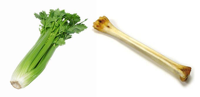 these foods-like-to-heal-they-celery-os-organs
