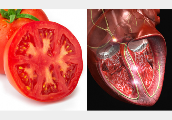 ces-aliments-ressemblent-aux-organes-quils-guerissent-tomate-coeur