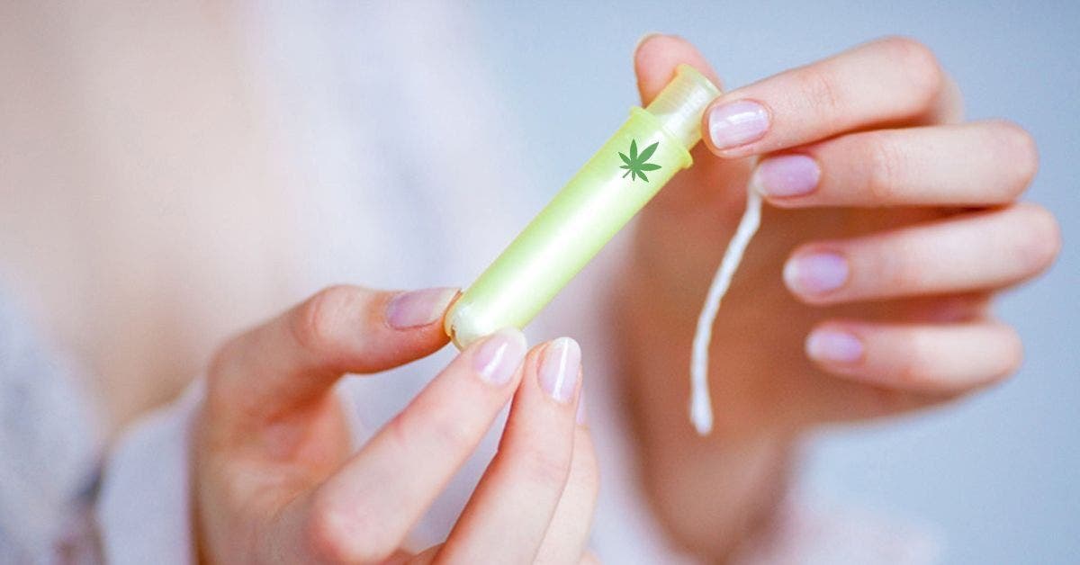 ces nouveaux tampons a lextrait de cannabis pourraient vous debarrasser des douleurs menstruelles 1 1