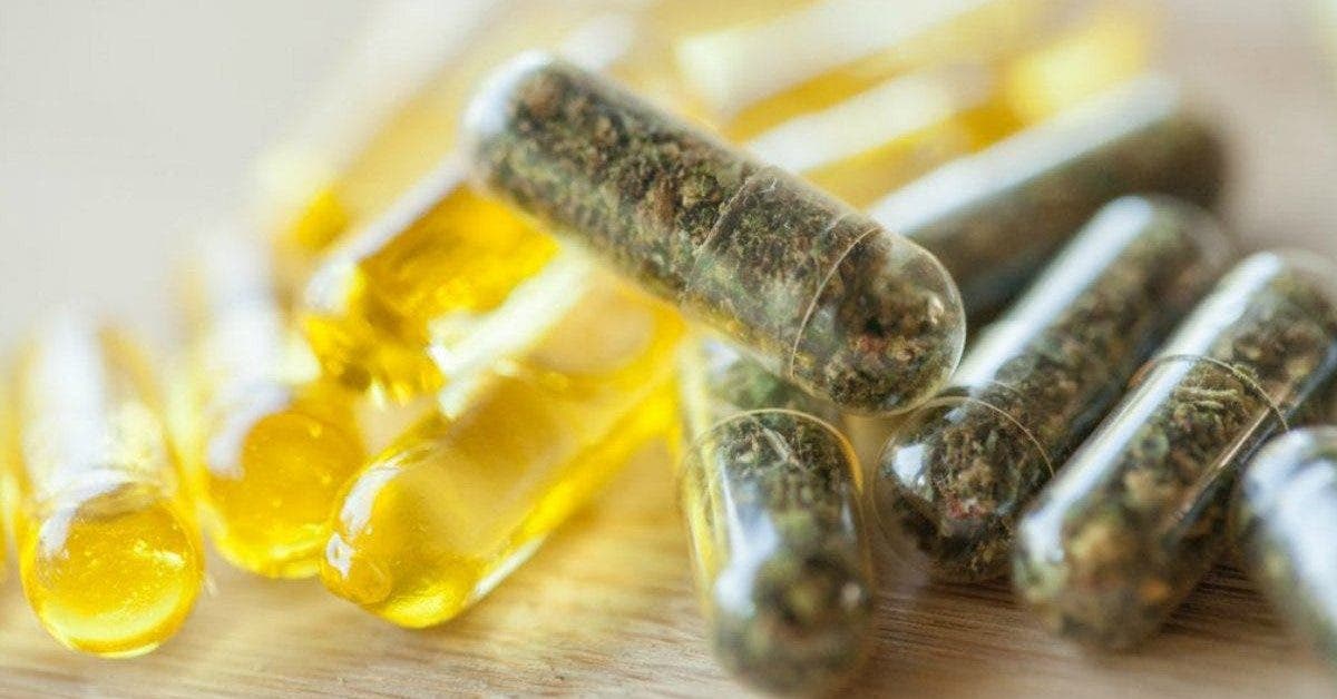 cette nouvelle capsule au cannabis pourrait remplacer les antidouleurs 1 1