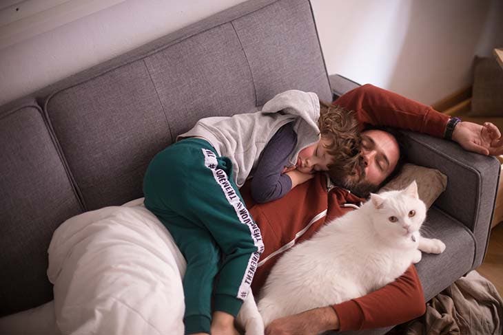 The cat sleeps with the human