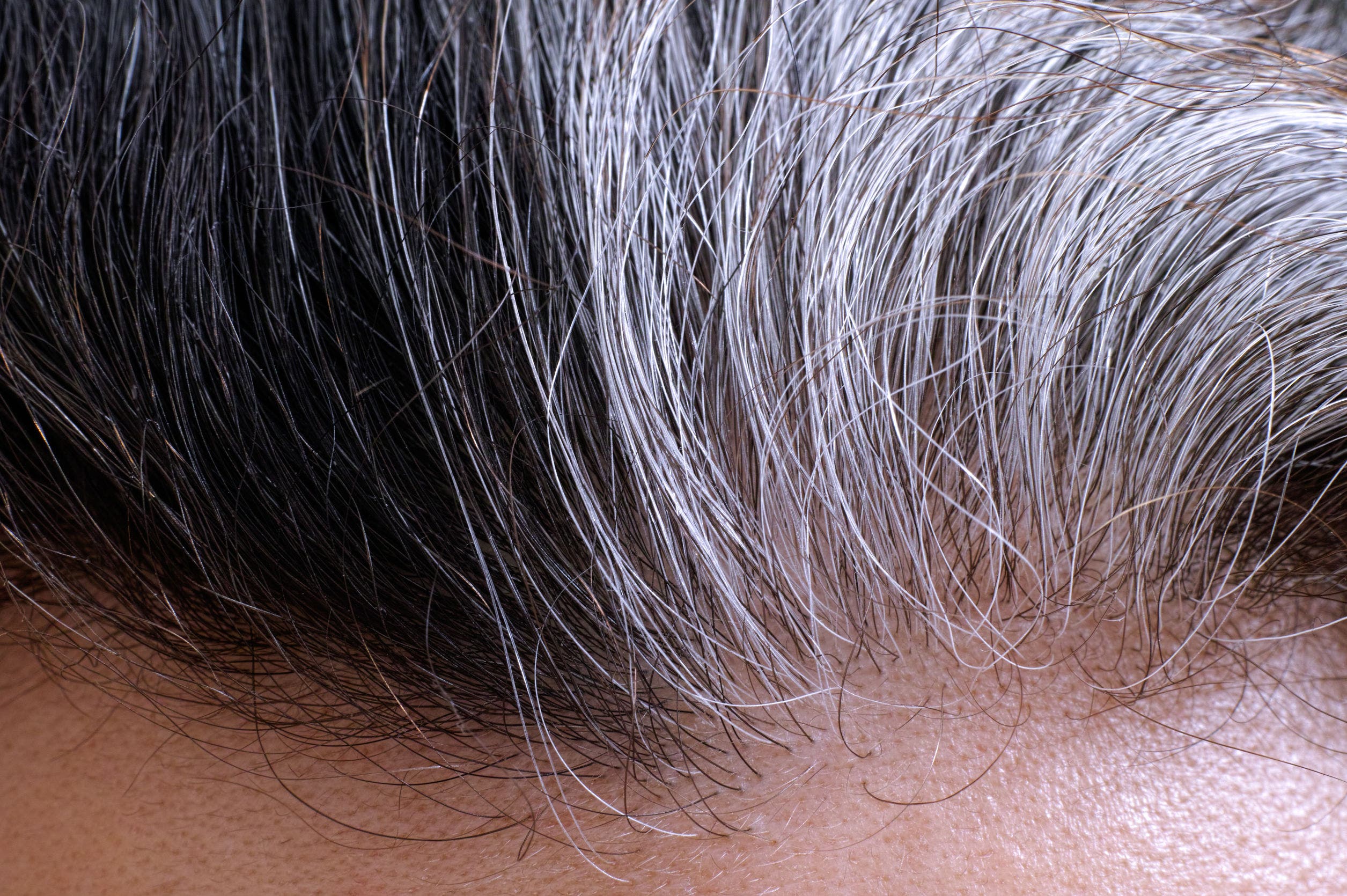 cheveux gris 2