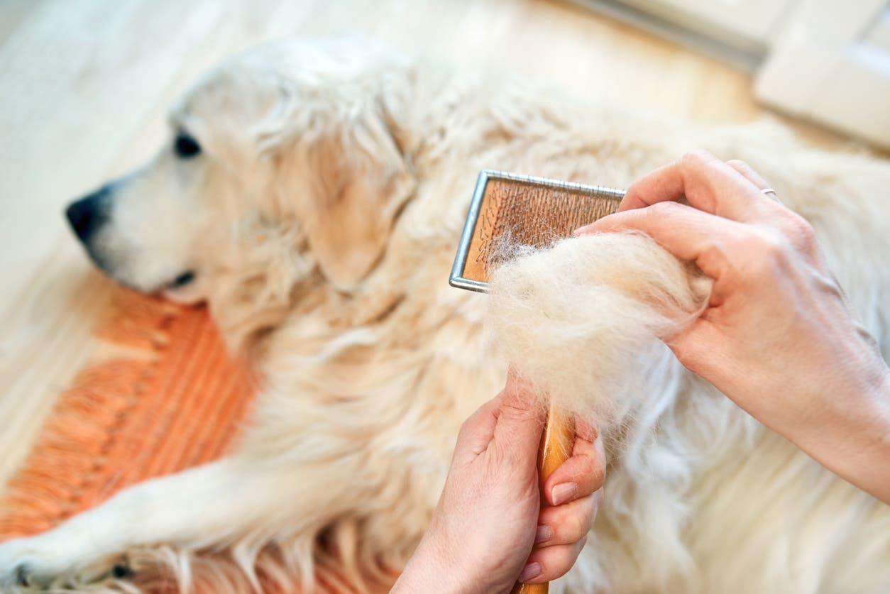 Enlever les poils d'animaux