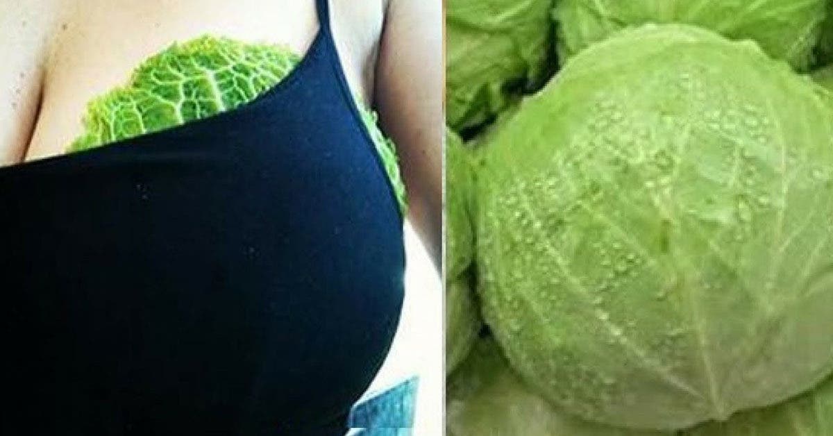 Pourquoi certaines femmes mettent-elles des feuilles de chou sur leurs seins ?